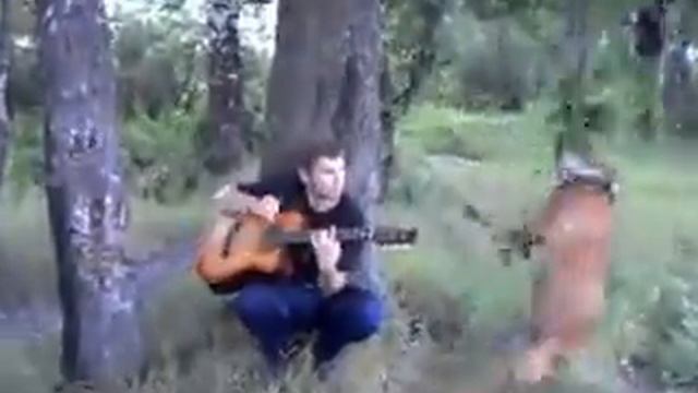 Белый снег, серый лёд....mp4 смотреть онлайн