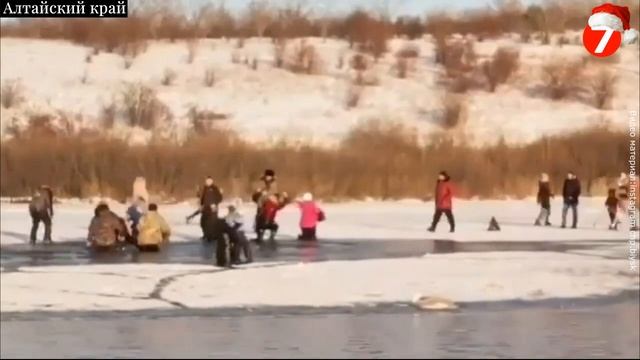 Толпа людей провалилась под лёд в Алтайском крае. смотреть онлайн