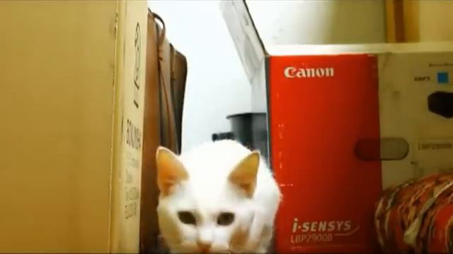 Боевое кряхтение смотреть онлайн