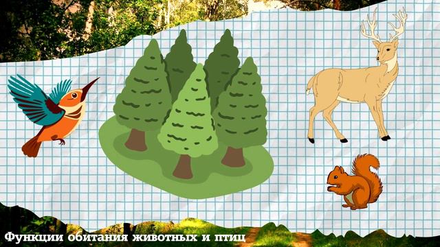 Основные сведения о лесе. Значение леса в жизни человека. смотреть онлайн