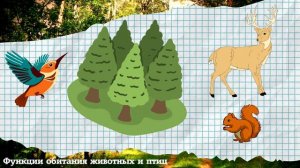 Основные сведения о лесе. Значение леса в жизни человека.