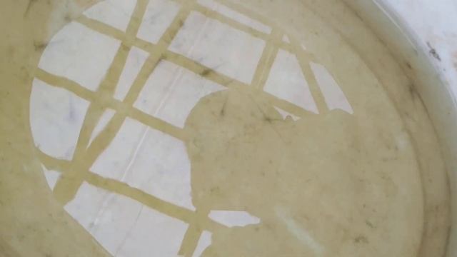 Креветка ваннамей DOC 7 смотреть онлайн