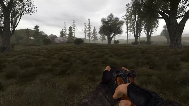 STALKER - Narodnaya Solyanka 2016 (Blind) | Animal Warfare | #16 смотреть онлайн