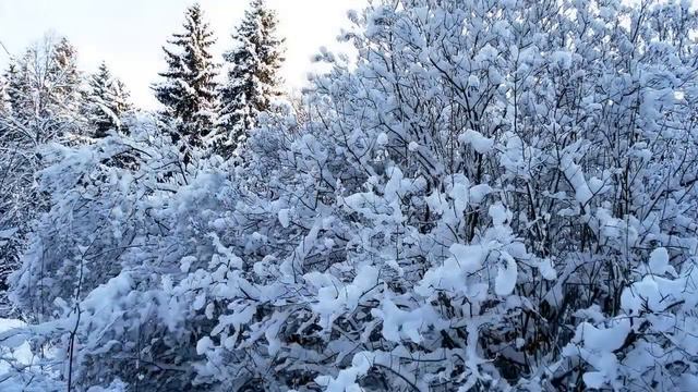 С Новым 2017 годом, коллеги! Поздравление Анастасии Колесниковой смотреть онлайн