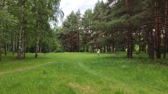 Лучшие водоемы для купания рыбалки и шашлыка в Павловском Посаде ( " Карпятник " " Байкал " и др. ) смотреть онлайн