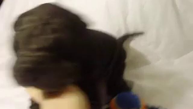 Indira Black Arin pei смотреть онлайн