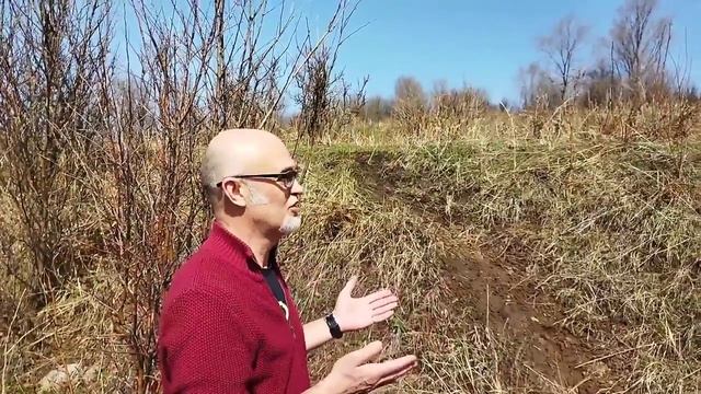 ЖИТЕЛИ ВЫСТУПАЮТ ПРОТИВ СТРОИТЕЛЬСТВА КОТТЕДЖЕЙ В ПРЕДГОРЬЯХ АЛМАТЫ