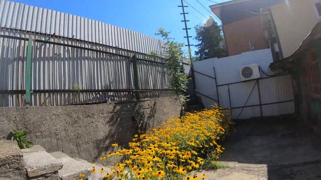 12 соток у моря. Дедеркой.