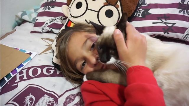 ** STORYTIME ** ¡Ha VUELTO! Mi MASCOTA HA APARECIDO ¡ESTÁ AQUÍ! Os Lo CUENTO TODO ** HI FAMILY ** смотреть онлайн