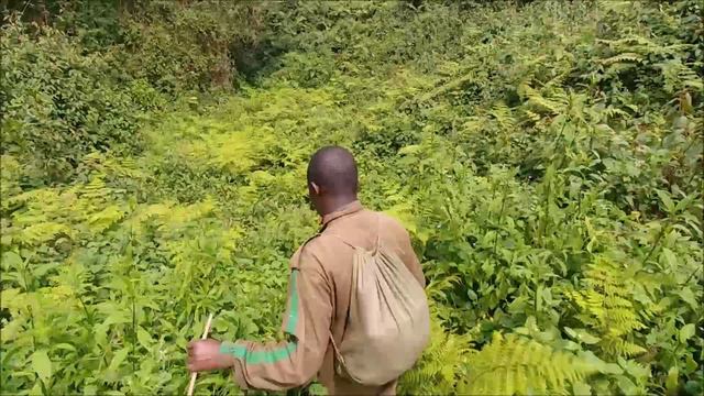 The True Furthest Source of Nile смотреть онлайн