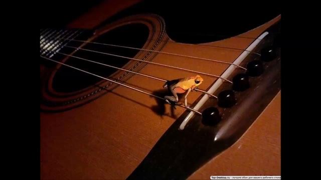 Лягушка Три желания дворовая песня смотреть онлайн