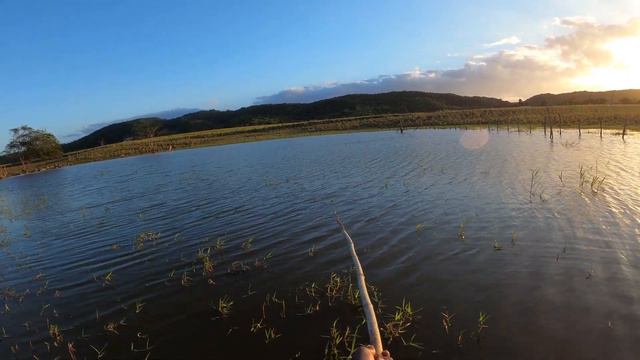 100+ Fish caught Best fishing pond | Catch N Cook смотреть онлайн