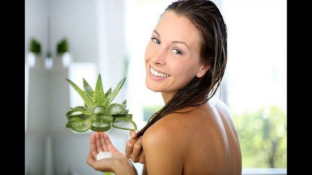 Home Remedy Aloe Vera Helps To Repair Damaged Hair How TO Use смотреть онлайн