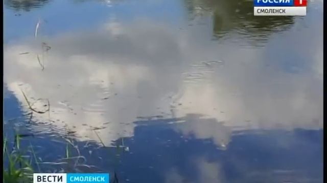 Гибель рыбы под Смоленском произошла из-за нехватки кислорода смотреть онлайн