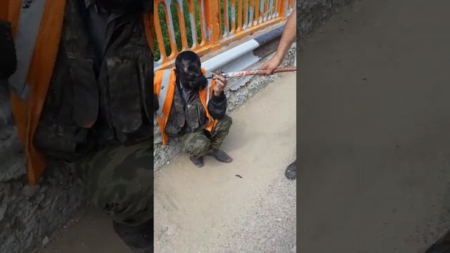 Виталик жжот покраска смотреть онлайн