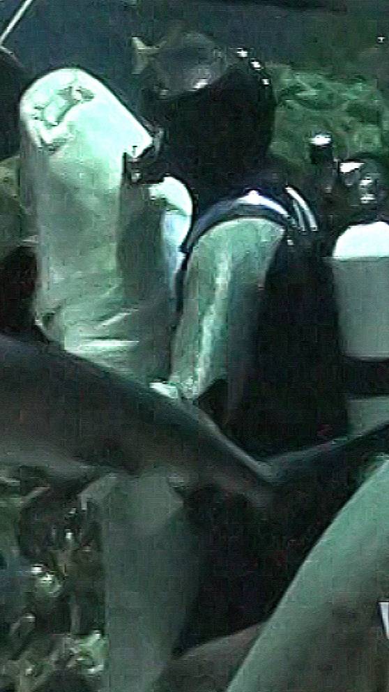 Акулий вальс смотреть онлайн