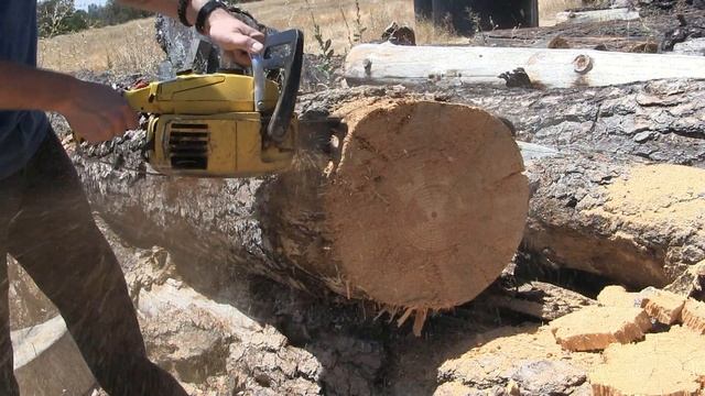 McCulloch PRO MAC 10-10 Pure Vintage Chainsaw Sound