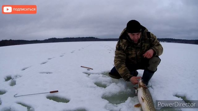 Рыбалка на жерлицы,ОГРОМНЫЕ ЩУКИ рвут поводки,супер улов,зимняя рыбалка 2022, смотреть онлайн