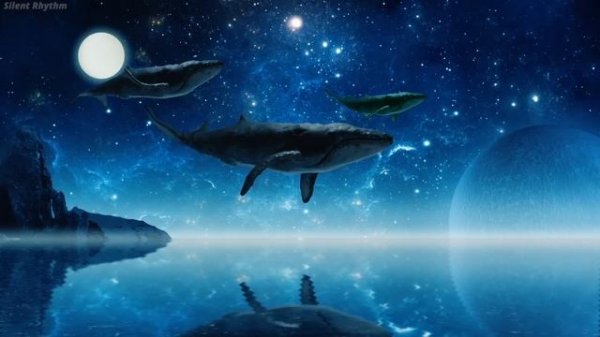 Relaxing Sleep Music • Deep Sleeping Music for Insomnia, Stress Relief, Sleep Meditation