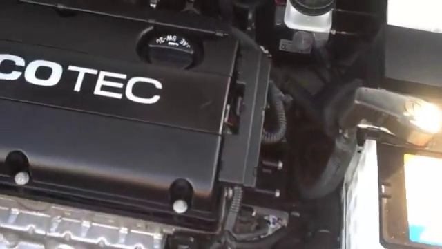 Bob Steele Chevrolet 2009 Aveo For Dee