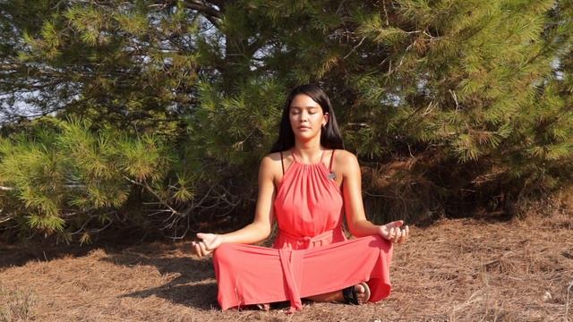 Sa Ta Na Ma forest Kirtan Kriya смотреть онлайн