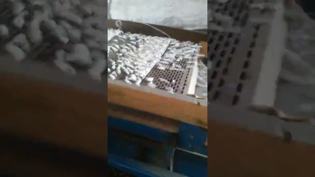 Калібровка квасолі смотреть онлайн