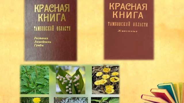 Библиопутешествие «С книгой по родным просторам» смотреть онлайн