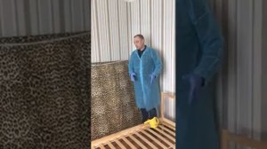 уничтожение клопов паром