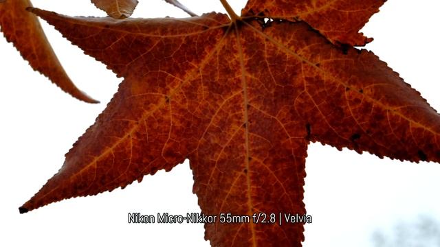 Fujifilm X-T2 4k video test смотреть онлайн