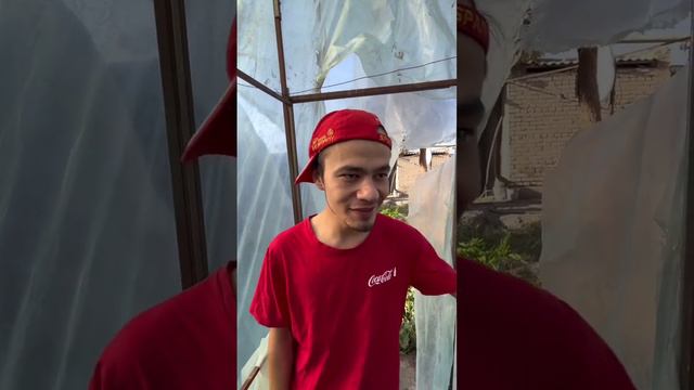 Murad Buxarskiy ~ Uylanish👩❤️👨Operatsiyasi😅#murad_buxarskiy #buxarskiy #sayfullaniizlab