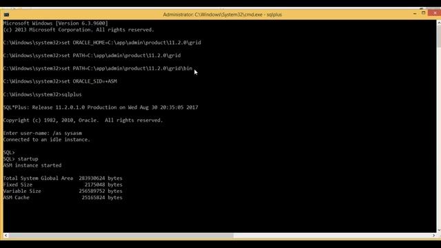 How to Start ASM Instance and Database Instance смотреть онлайн