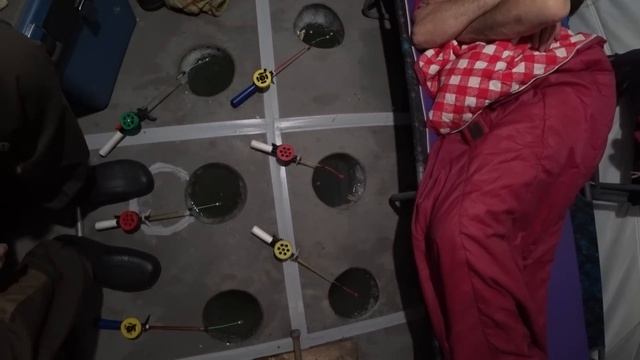 КАРАСИ-МОНСТРЫ не ЛЕЗУТ в ЛУНКИ! РЫБА КИШИТ под ПАЛАТКОЙ! Живём с сыном в палатке, жарим рыбу смотреть онлайн