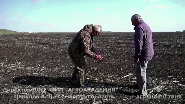 Отзыв БРК 8. Предпосевная обработка по стерне подсолнечника Самарская область смотреть онлайн