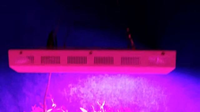Светодиодные лампы для растений LED GROW 300W MAX смотреть онлайн