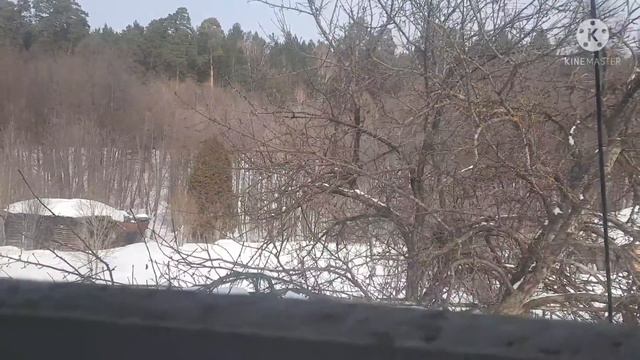 Купили дом в "деревне". Зачем? смотреть онлайн