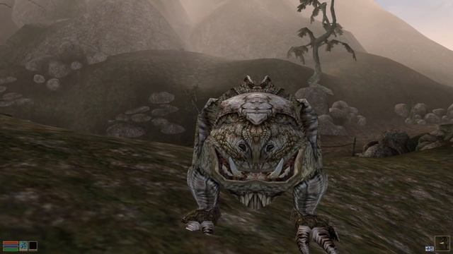 Morrowind: на что способны современные моды? Полное преображение игры