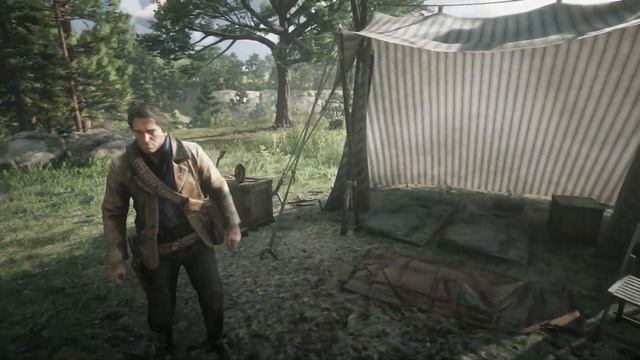 Navy Revolver in Story Mode Tutorial Red Dead Redemption 2 смотреть онлайн