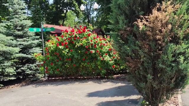 Парк Горького сегодня Харьков Июнь 2022 смотреть онлайн