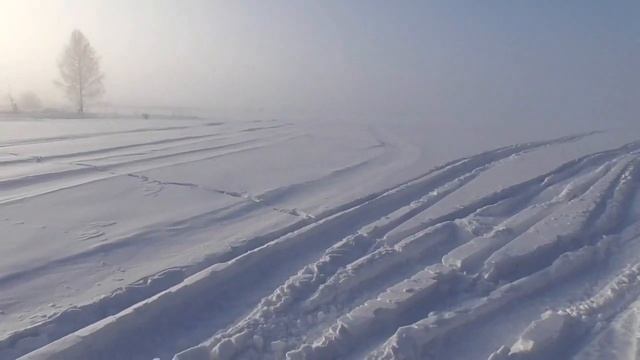 В гостях у сказочного леса!!!Как живут бобры и косули зимой! смотреть онлайн
