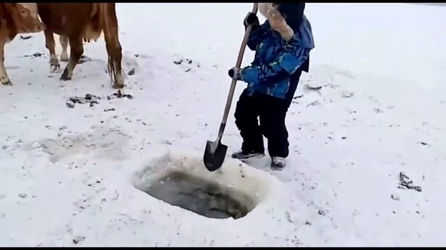 Зимний водопой