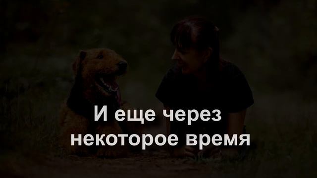 Охрана ресурса у собаки смотреть онлайн