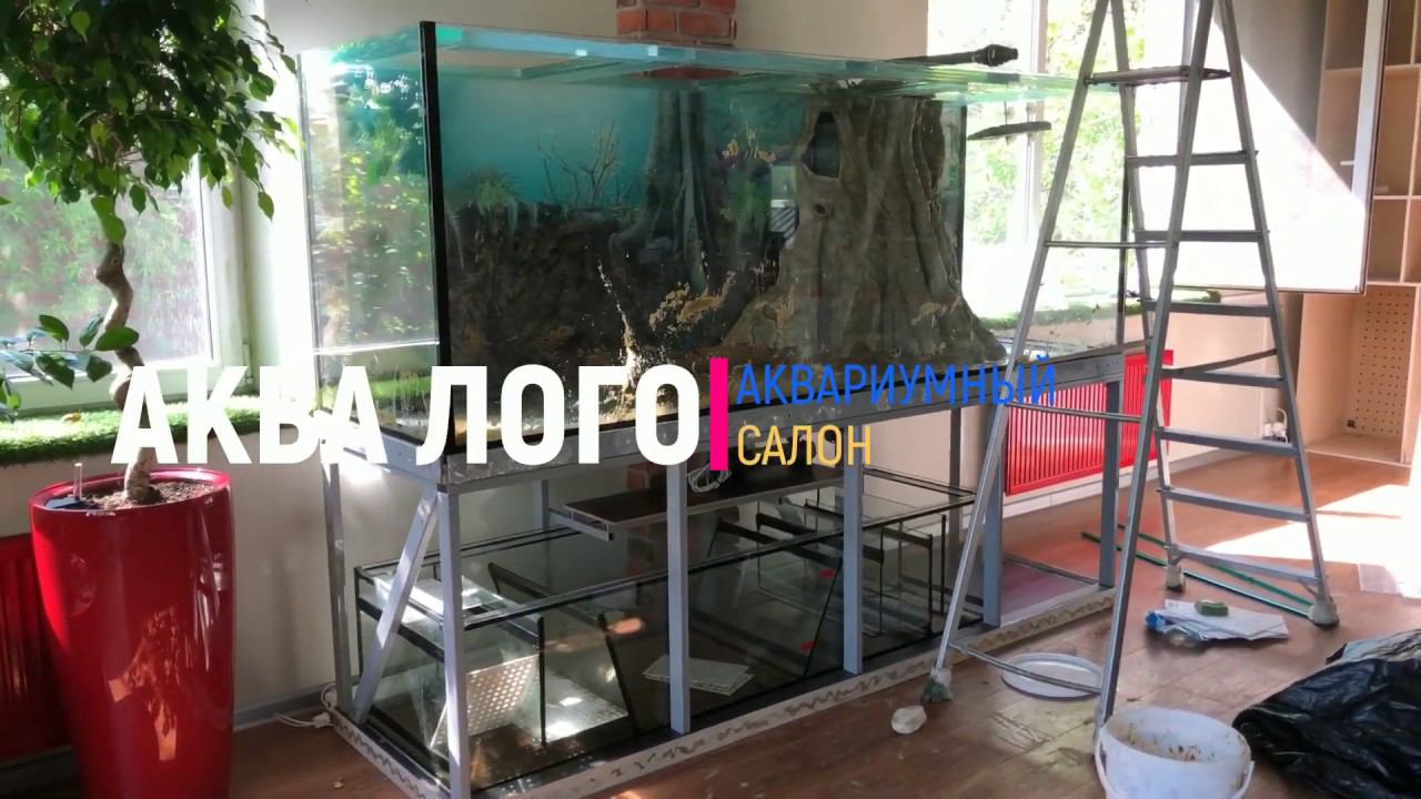 Как перевезти аквариум смотреть онлайн