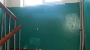 Ремонт подъезда,ул Правды,д 10