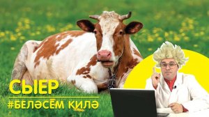 Беләсем килә: Сыер / Корова / A cow
