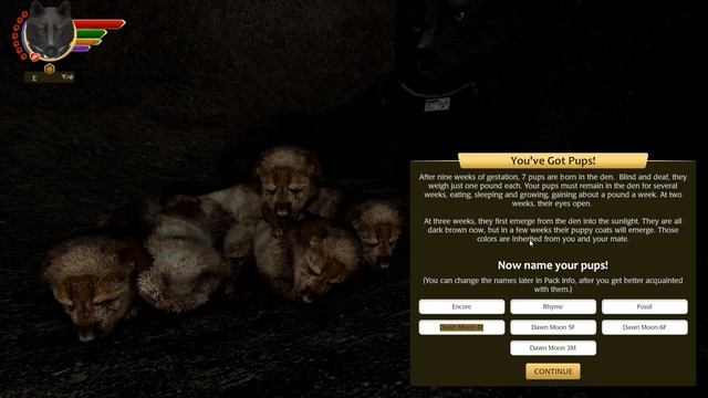 Birth of Teeny TINY Tottering Wolf Pups!! ?? Wolf Quest: LOST ECHOES • #43 смотреть онлайн