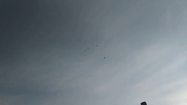 Гоняю 4 голубки такла #голуби #такла #таклаБишкек #гон #лет #игра смотреть онлайн