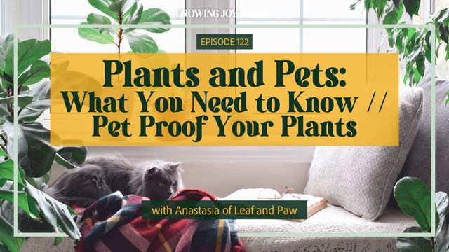 122 How to Pet Proof Your Plants | Growing Joy with Plants | Podcast смотреть онлайн