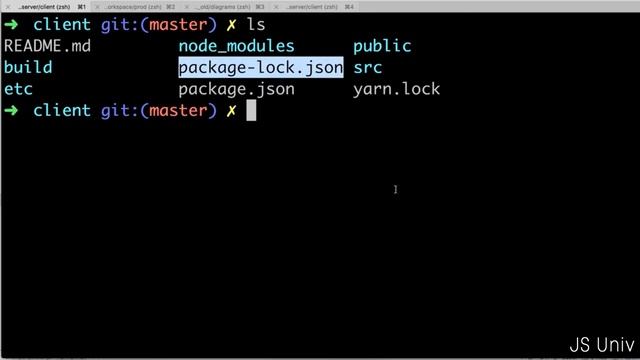 Learn to debug NPM issues | Client side Architecture | MERN Stack | JSUniv смотреть онлайн