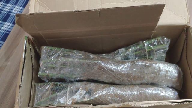 Вторая посылка с розами. Питомник роз "Нью-Джерси" смотреть онлайн