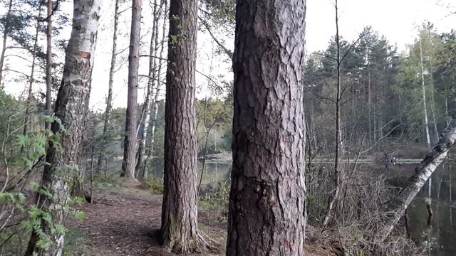 Смеркалось...туман по-тихонечку наваливался на озеро смотреть онлайн